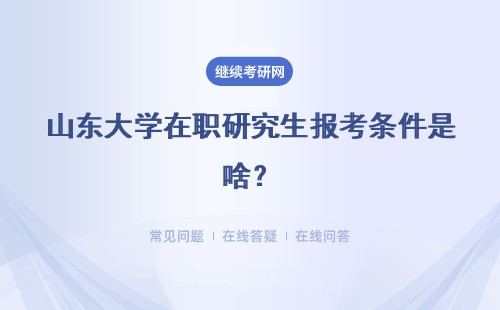 山东大学在职研究生报考条件是啥？解析
